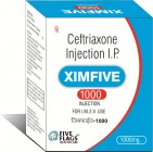 XIMFIVE-1000 INJECTION