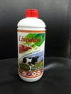 LIVODASE SYRUP